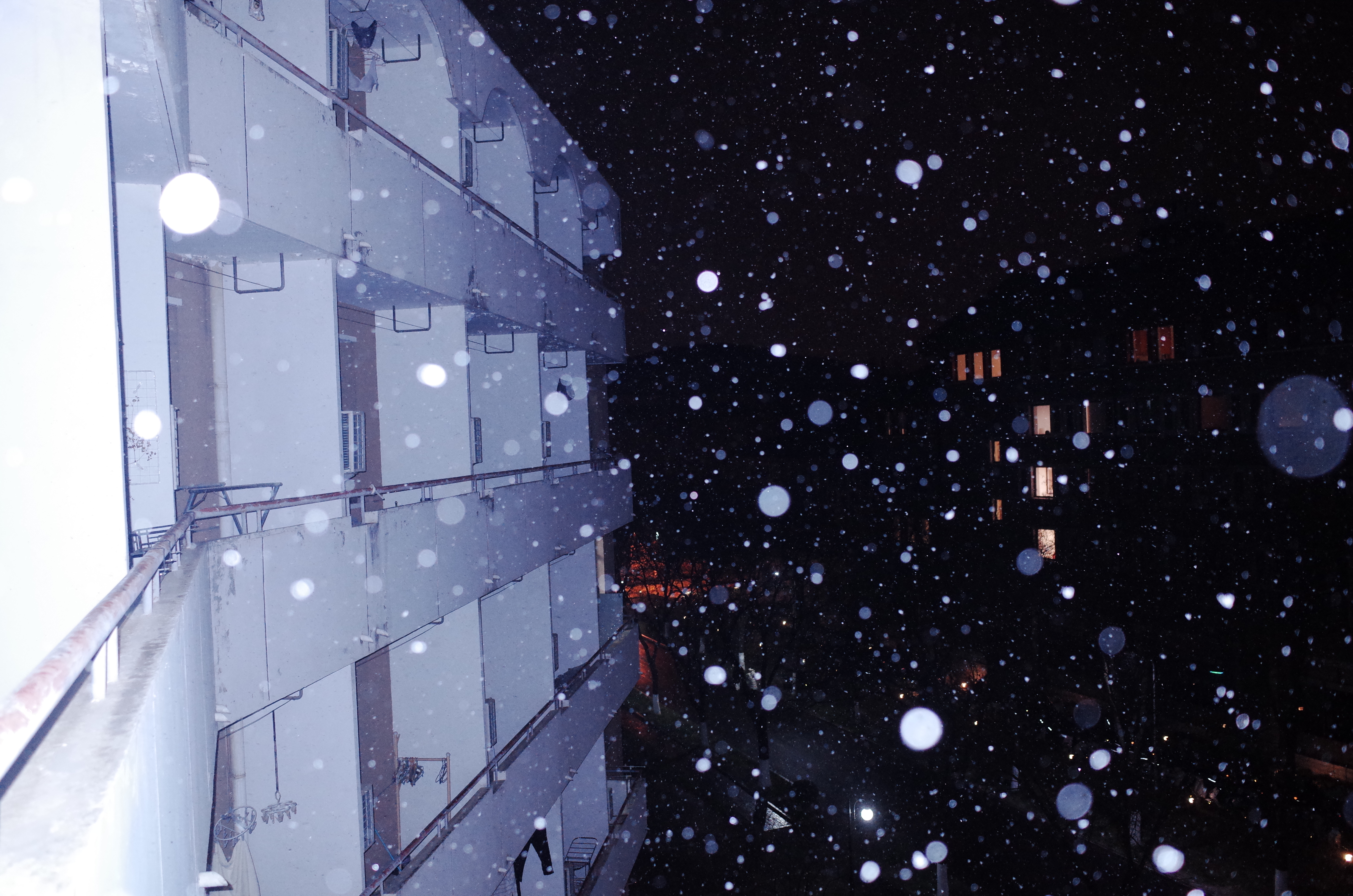 20231211-雪7-清华-供图.jpg